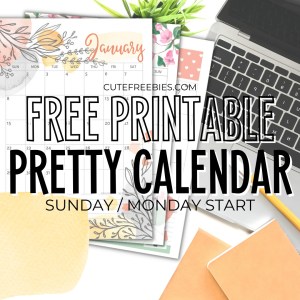 Free Printable 2025 Calendar Pretty Planner Template - 12 monthly planner with beautiful design. #cutefreebiesforyou #freeprintable