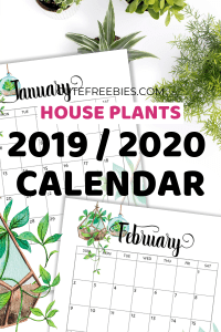 Free Printable 2019 2020 Calendar - 12 monthly planners with hanging plants design. #freeprintable #cutefreebiesforyou