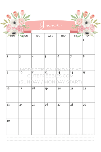 Free Printable June 2019 Calendar - floral theme! Get your free June planner and start the month right. #cutefreebiesforyou #freeprintable #bulletjournal #bujoideas