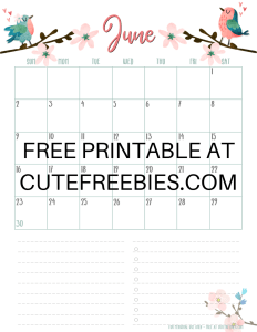 June 2019 Calendar Planner -Free Printable #cutefreebiesforyou #freeprintable