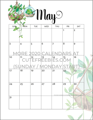 May 2020 calendar free printable with plants design